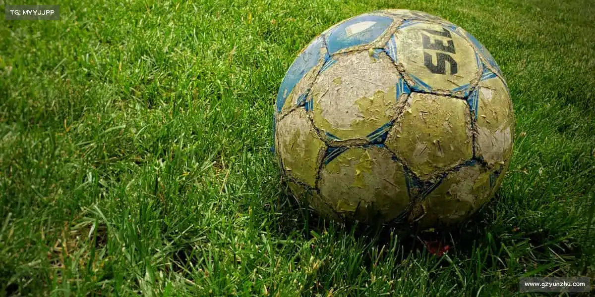 我们的核心竞争力